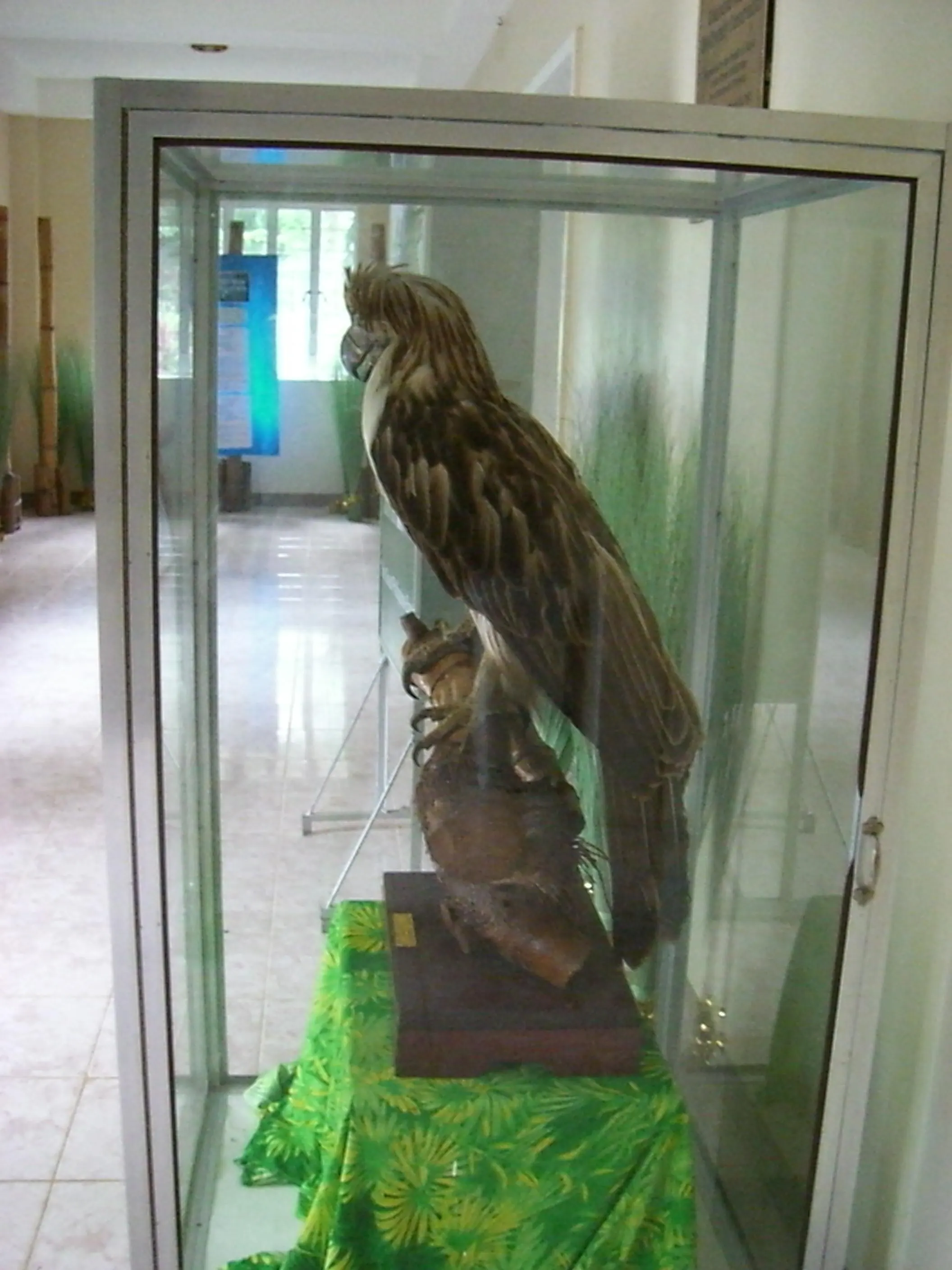 2006 Feb - Bird Park - Davao